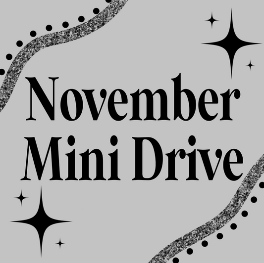 November Everything MINI Drive