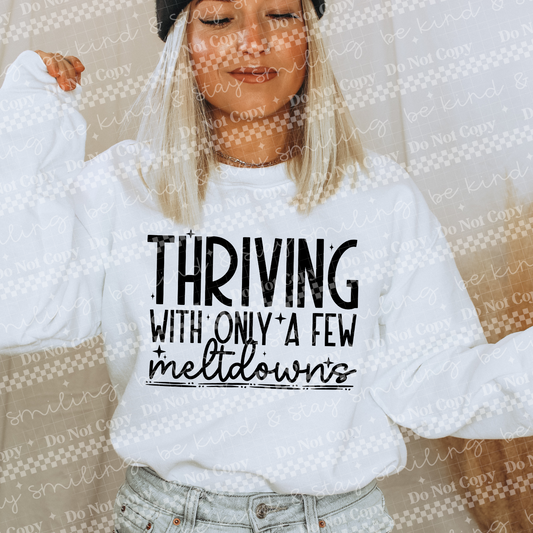 Thriving With Only A Few Meltdowns | PNG | DIGITAL DOWNLOAD